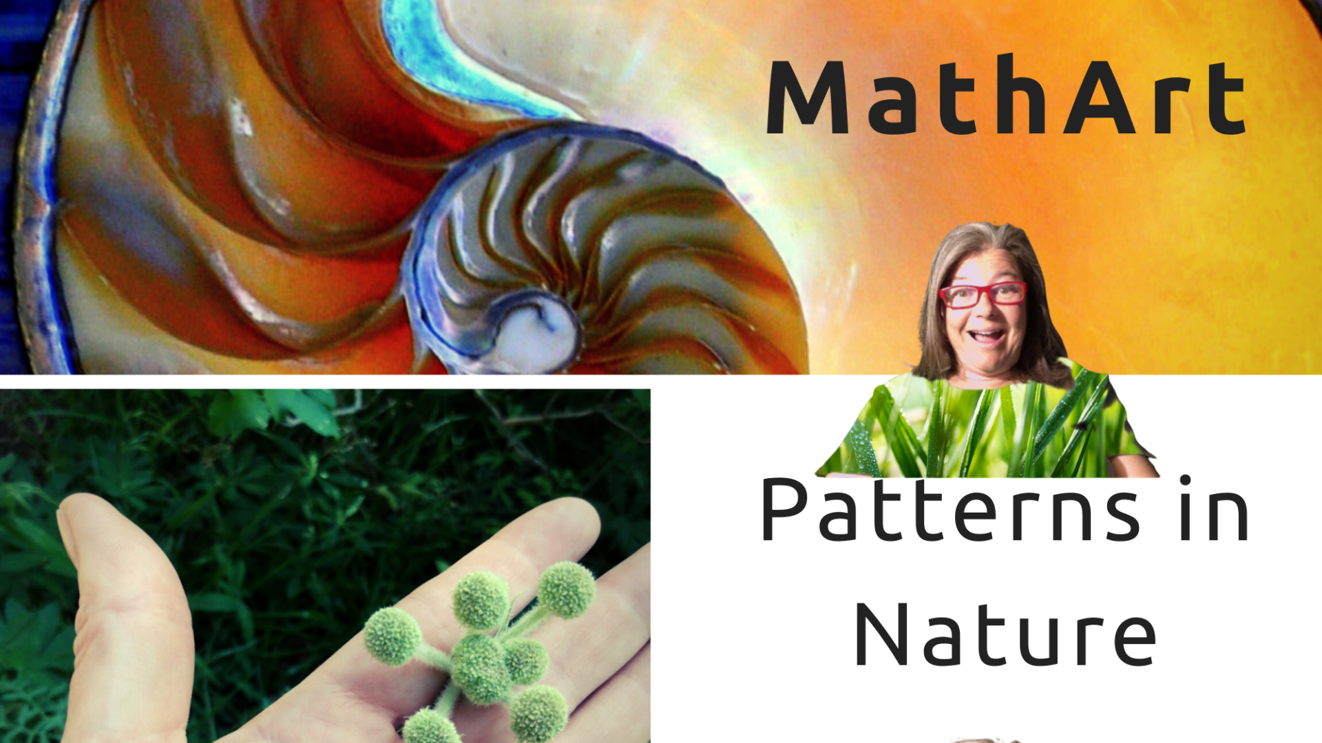 Patterns in Nature | Live interative class for ages 8-12 | taught by ...