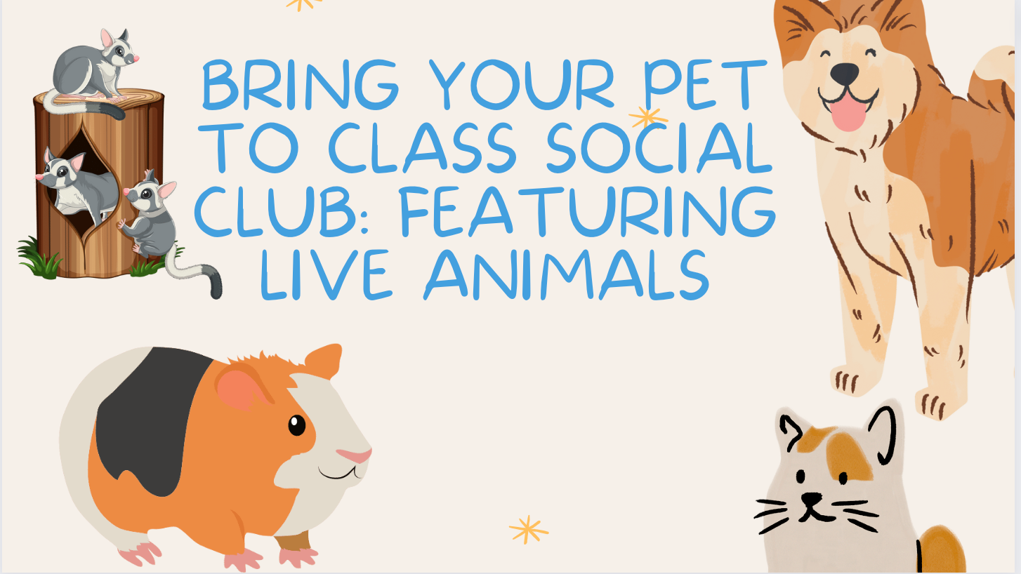 Bring Your Pet to Class Social Club: Featuring Live Animals | Live  interative class for ages 5-8 | taught by Jennifer McCarthy | Allschool