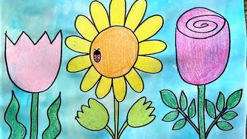 Wild field flower line set. Hand drawn doodle sketch style wild floral  element for nature spring background. Flower, garden grass field outline  vector illustration Stock Vector Image & Art - Alamy