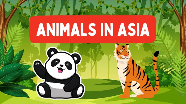 Animals in Asia | Live interative class for ages 3-7 | taught by Christina  | Allschool
