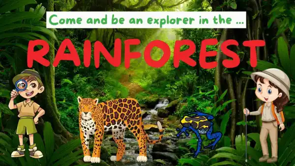 What is a Rainforest? Where are they? What animals live there? Come and  explore with me! | Live interative class for ages 5-9 | taught by Cindy  March | Allschool