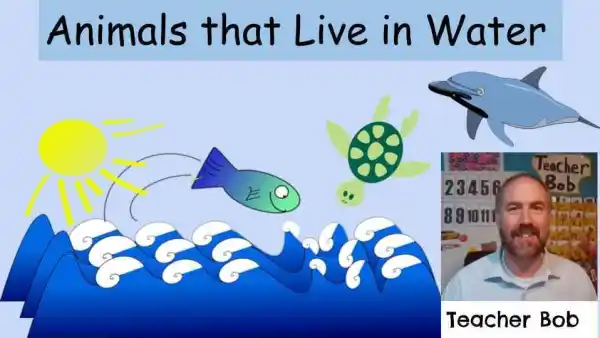 Introduction to Water Animals ($ off coupon available) | Live  interative class for ages 3-7 | taught by Teacher Bob | Allschool
