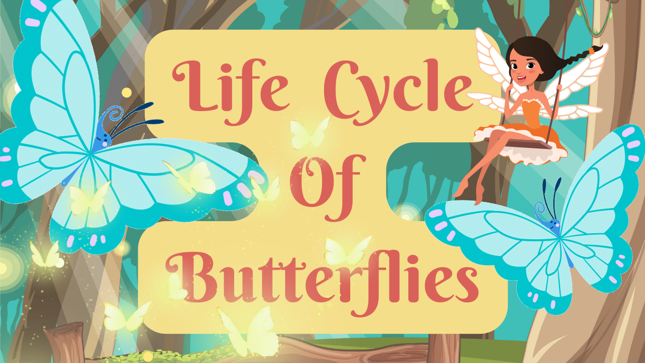 Learn about life cycles - With Faries | Live interative class for ages ...