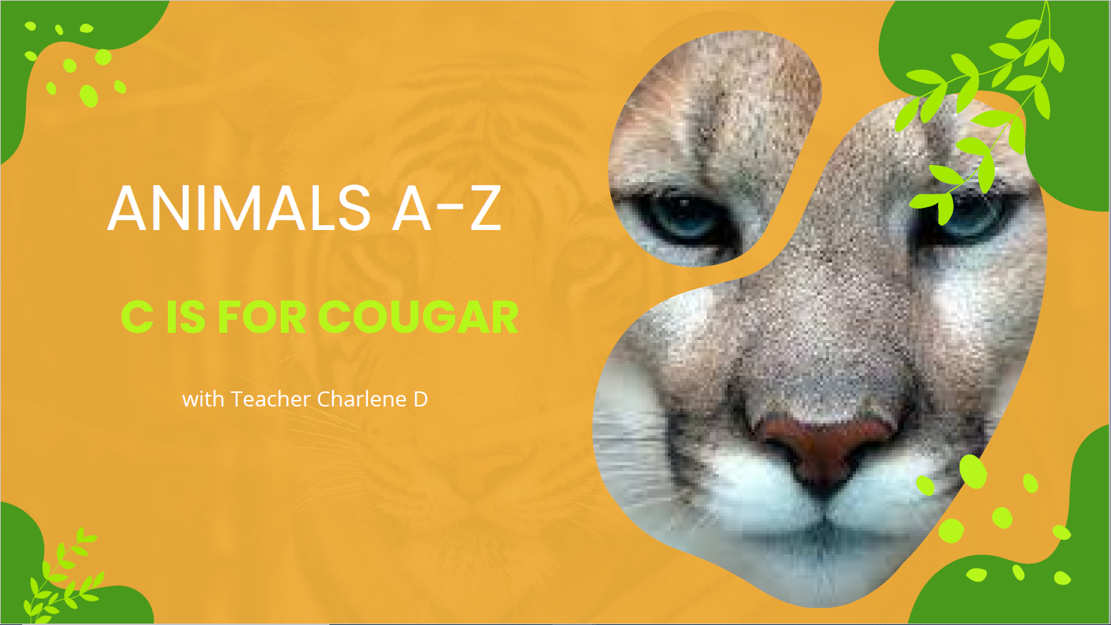 Animals A-Z: C Is for Cougar (ESL)