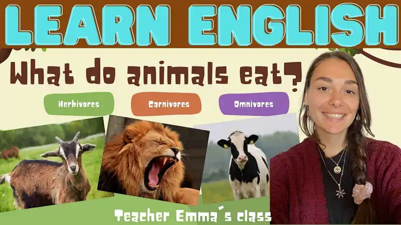 ESL Lesson. What do animals eat? Carnivores, herbivores and omnivores  science lesson! | Live interative class for ages 5-9 | taught by Emma  Louise | Allschool