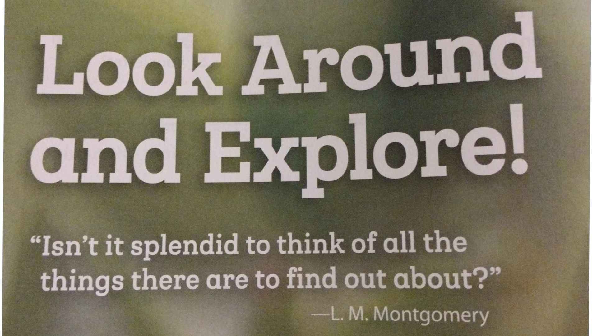 Look Around and Explore!