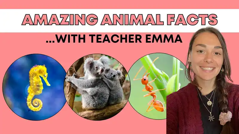 Amazing Animal Facts! A Science Discovery Lesson | Live interative class  for ages 5-9 | taught by Emma Louise | Allschool