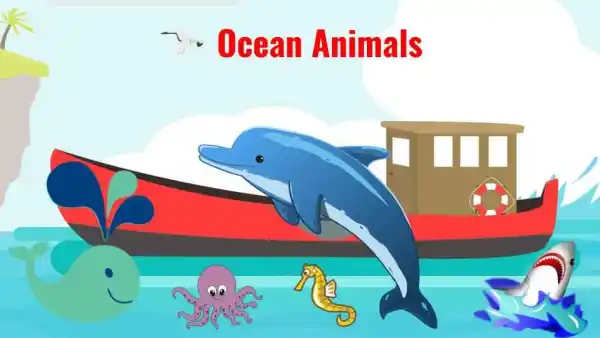 Let's Learn About Ocean Animals! | Live interative class for ages 4-7 |  taught by Mrs. Kay | Allschool