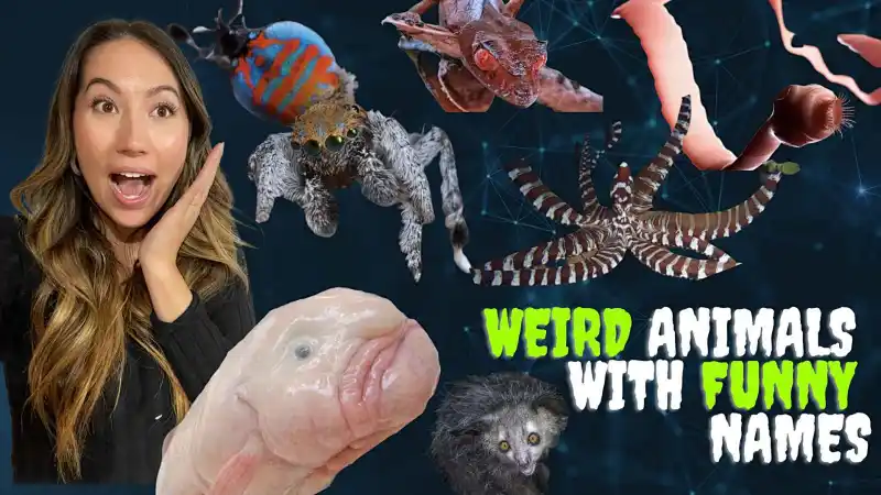 Weird Animals With Funny Names | Live interative class for ages 6-10 |  taught by Teacher Ashlyn | Allschool