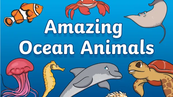 Amazing Ocean Animals! | Live interative class for ages 4-7 | taught by Hayley Cook | Allschool Amazing Ocean Animals! | Live interative class for ages 4-7 | taught by Hayley Cook | Allschool