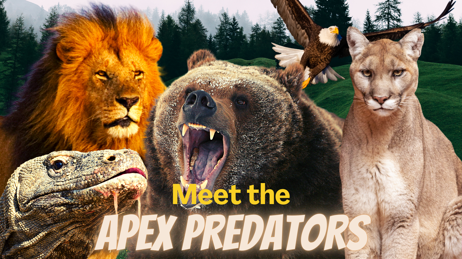 Meet the Apex Predators! | Live interative class for ages 6-10 | taught