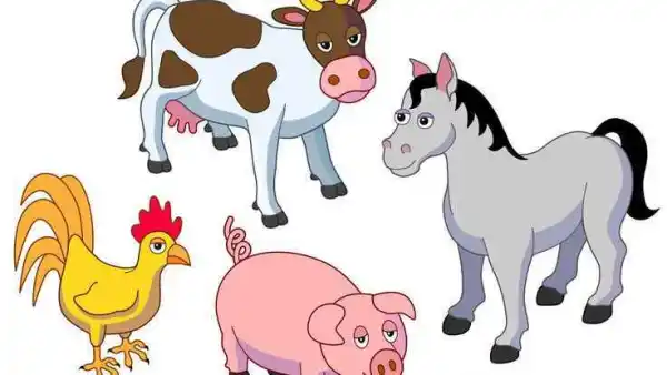 Farm Animals-ESL/Pre-schoool | Live interative class for ages 3-7 | taught  by Teacher Momo | Allschool