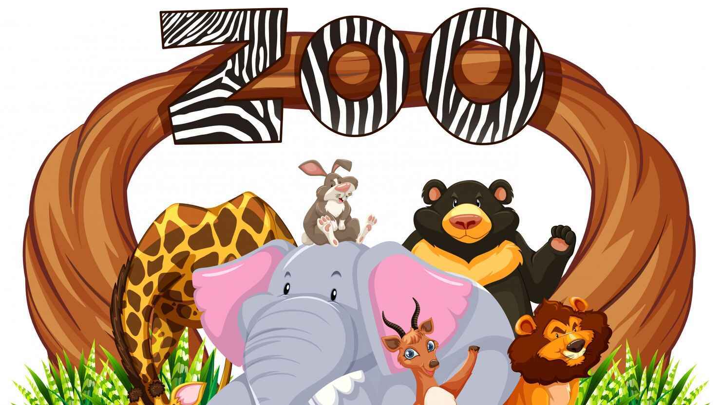 Zoo Animals: A Vocabulary Lesson | Live interative class for ages 3-5 ...