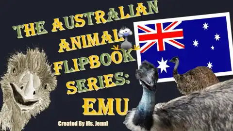 Australian Animal Flipbook Series: Emu