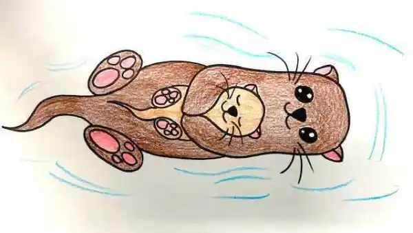 Draw an Adorable Otter, Live interative class for ages 8-12, taught by  Deborah Ewing
