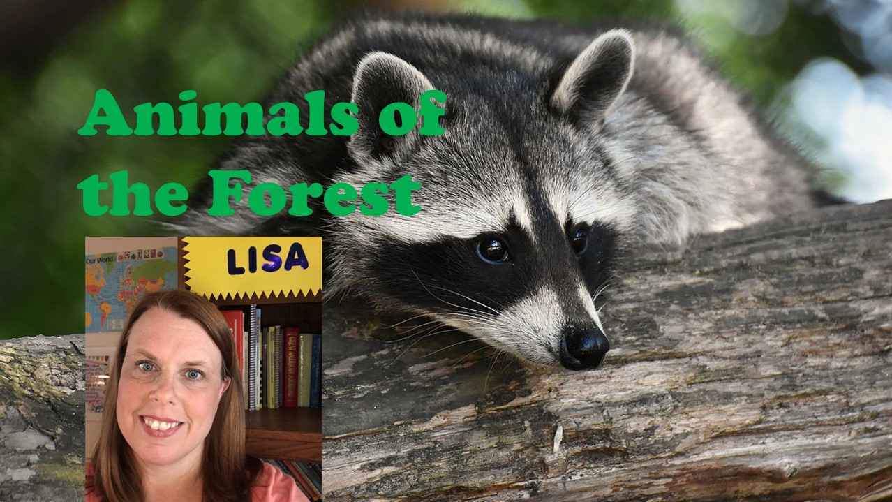 Life Science and Nature: Animals of the Forest 1:1 Science Class