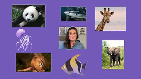 Once a Week Animal Fun Facts Class | Live interative class for ages 5-10 |  taught by Tracy Horner | Allschool