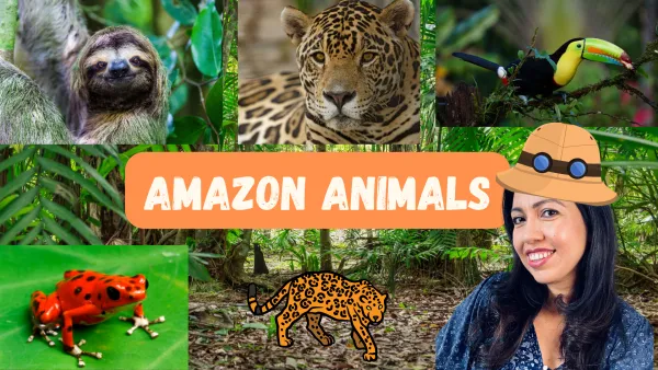 Let's Learn About Amazing Amazon Animals! | Live interative class for ages 5-10  | taught by Maria Cortez,  | Allschool