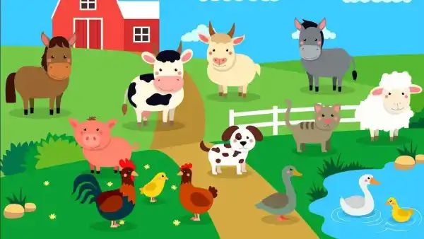 ESL One On One Lesson - Farm Animals | Live interative class for ages 6-10  | taught by Shedny | Allschool